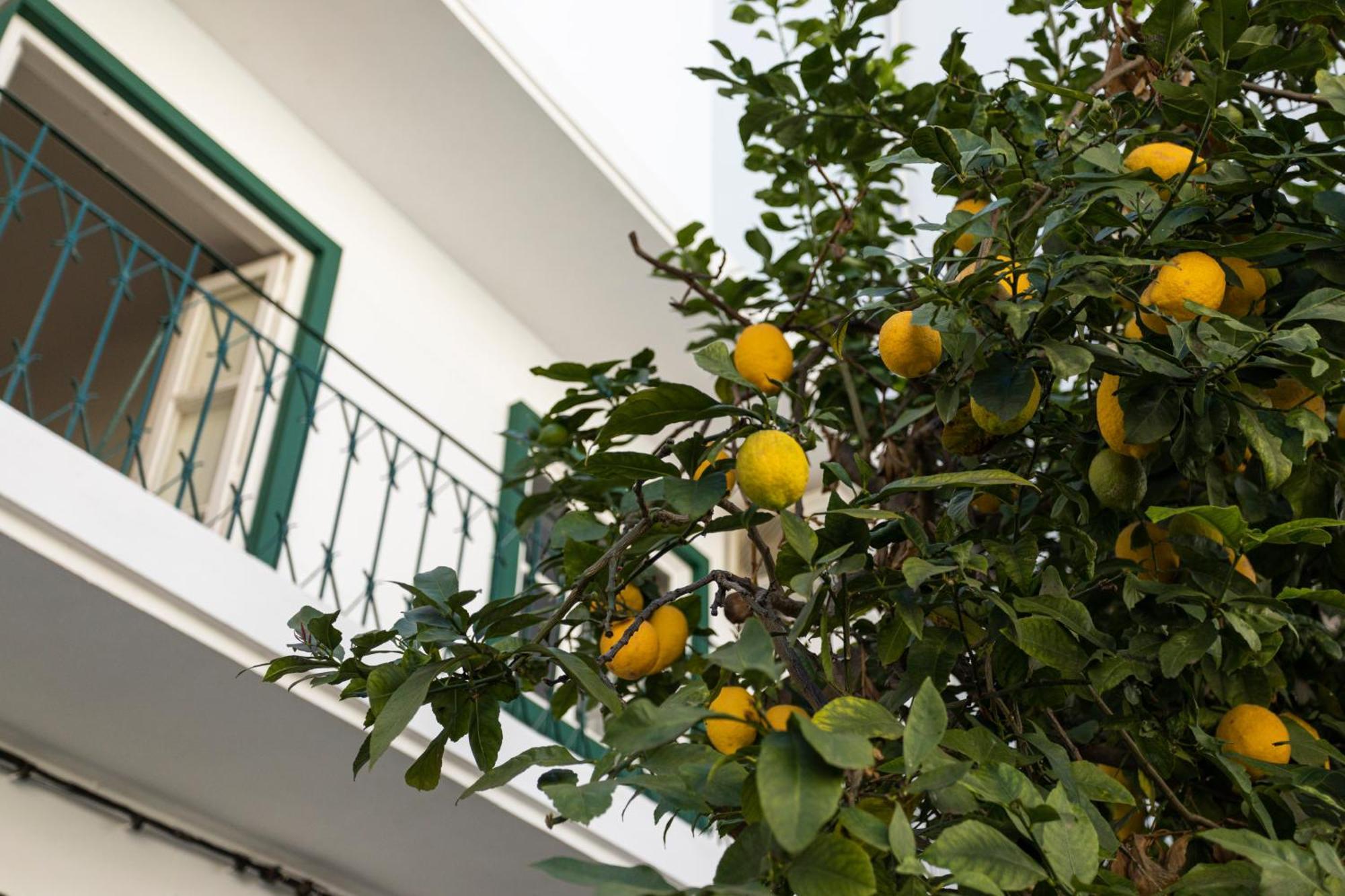 Lemon Hostel FAO Eksteriør bilde